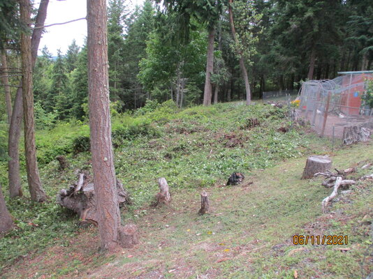 IMG_0969.JPG IMG_0969.JPG