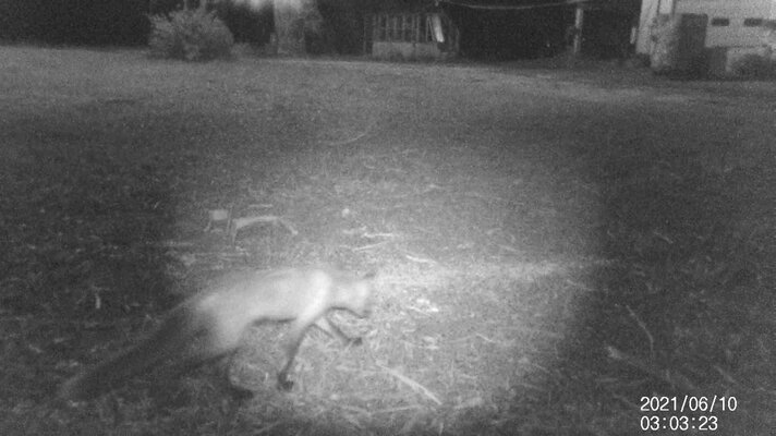 IMAG0001 (18) 04.jpg