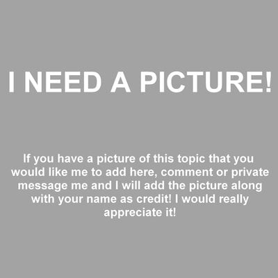 I need a picture!.jpg