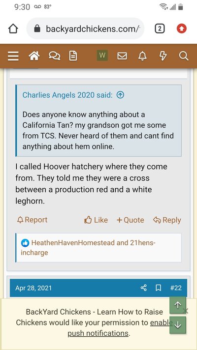 Screenshot_20210617-213048_Chrome.jpg