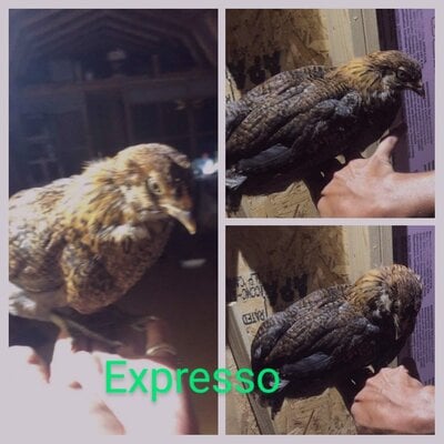 20210630_195830-COLLAGE~2.jpg