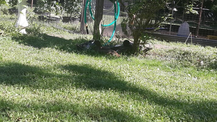 20210624_100435.jpg