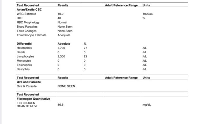 8AF622EE-D35F-4BCC-B606-2D479A199076.jpeg