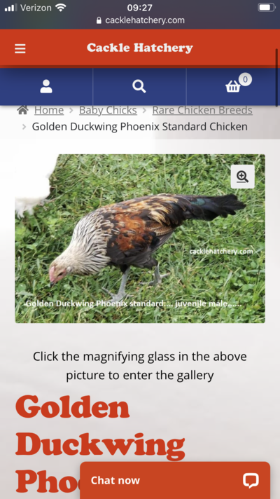 77F9A154-6FAB-4569-8FB6-0BC3597C1B20.png