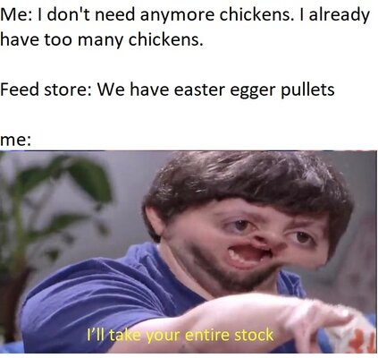 chicken meme.jpg