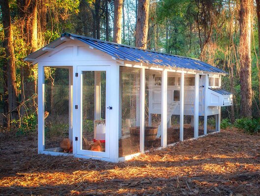 6′ x 18′ American Coop with 4’x 6′ henhouse.jpg