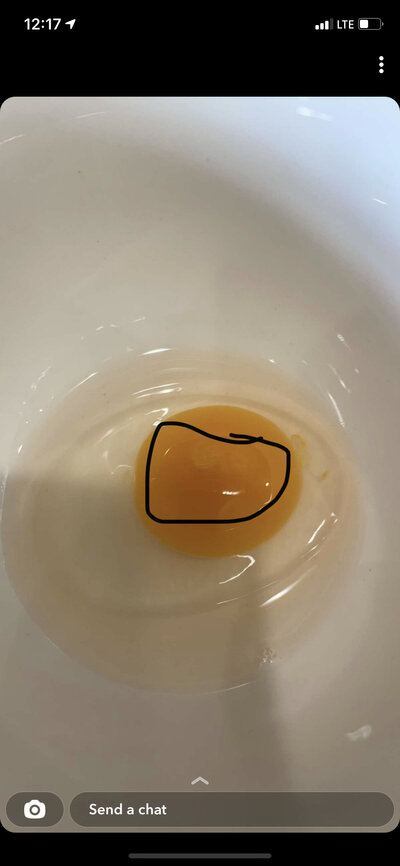 7B361E5D-96A3-40AB-8BCB-4BC46BA802DA.jpeg