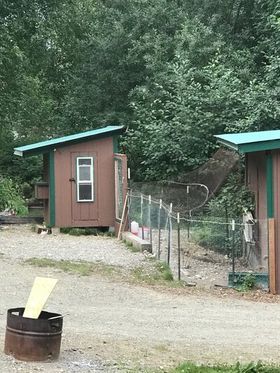 Chicken coop.jpg