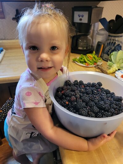 berry picker.jpg