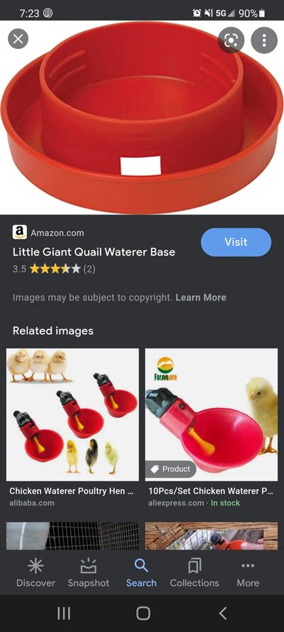 Screenshot_20210801-192301_Google.jpg