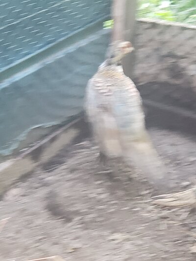 20210804_183736.jpg