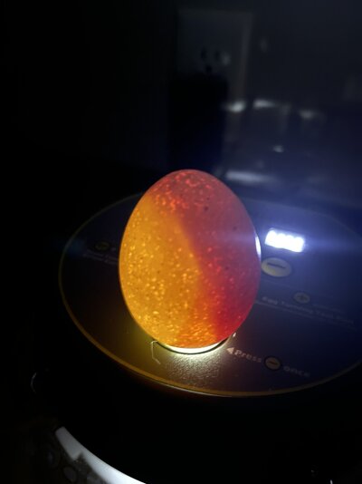 0246B08A-0BCE-4F84-82BE-26351D87CCF7.jpeg