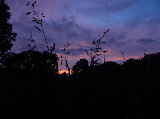DSCN9554.JPG