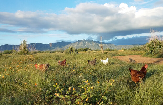 20210813_062307 copy 2.jpg