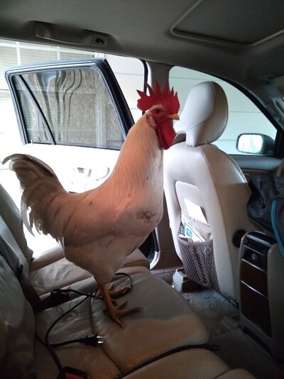 20201120_162104.jpg