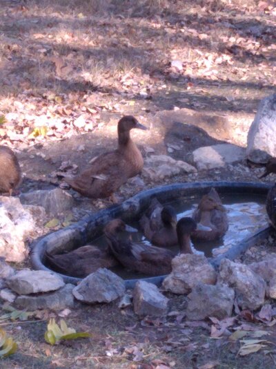 20201102_082810.jpg