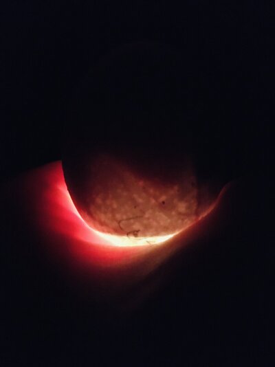 58A013FF-46A9-4F85-A467-BD2F203471B6.jpeg