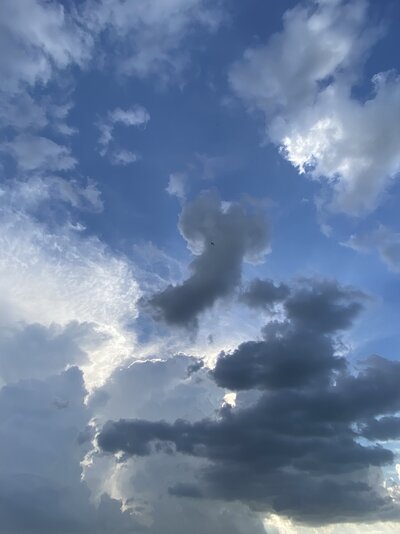 182DD156-971C-4E60-A5F8-46C978F209E0.jpeg