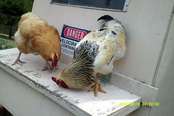 DSCF0157.JPG