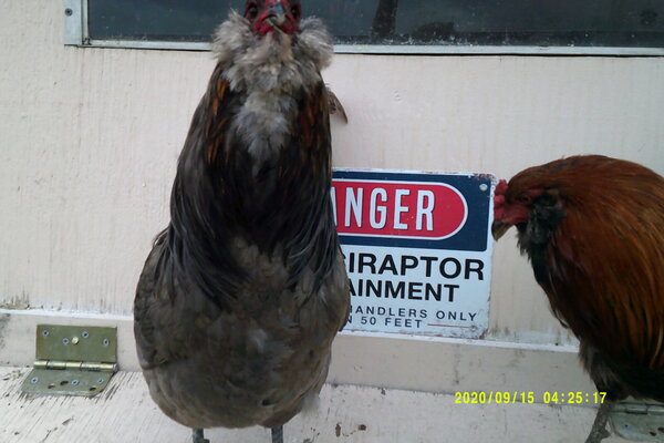 DSCF0163.JPG