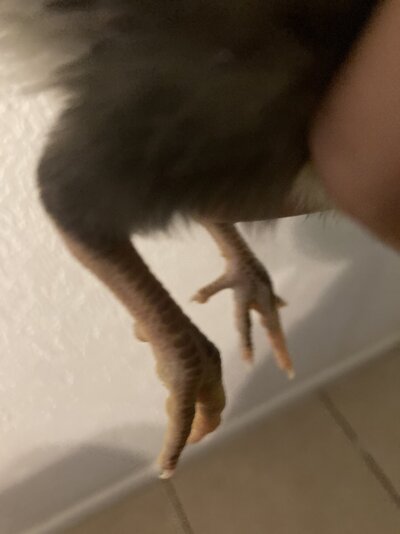 119DBFA1-6072-4DAC-A6D0-7C2AEB927B70.jpeg