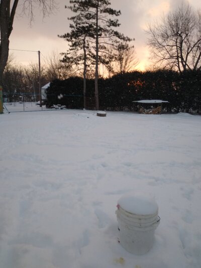 IMG_20210216_175309968.jpg