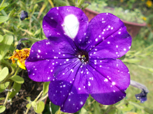 DSCN0446.JPG