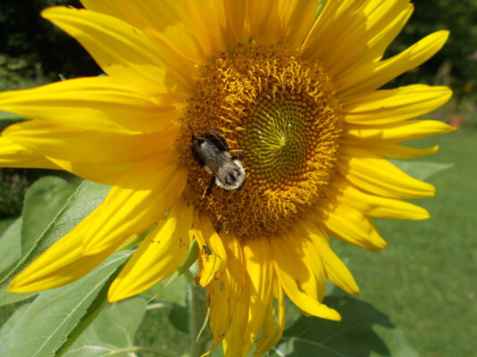 DSCN0447.JPG