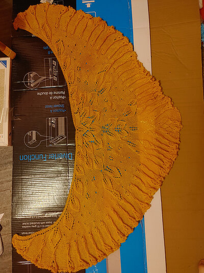 20201229_190040_HDR_medium2.jpg