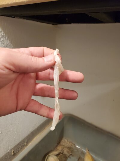 20210827_201902.jpg
