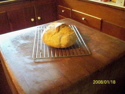 100_0379.JPG
