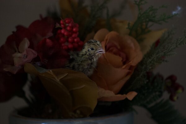 7DBB927A-4EF8-475B-88E1-8092094CCA3A.jpeg