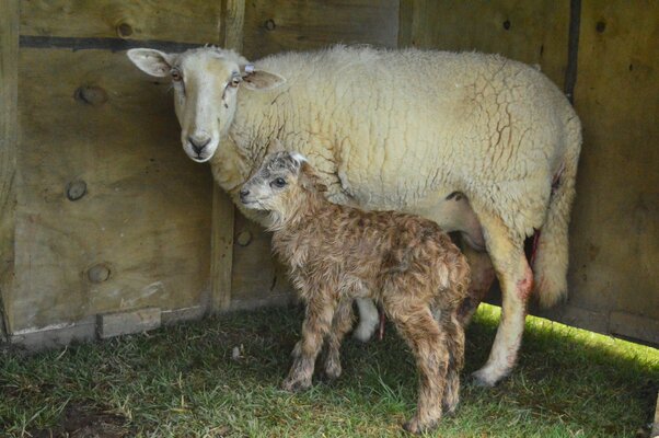 Proud Mama.jpg