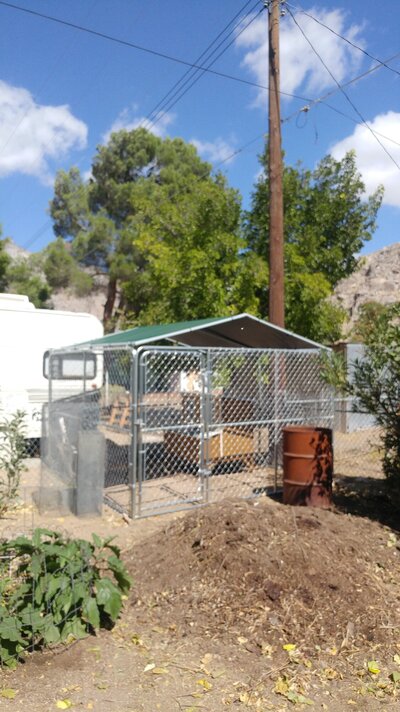 10X10 dog pen - chicken run 2019.jpg
