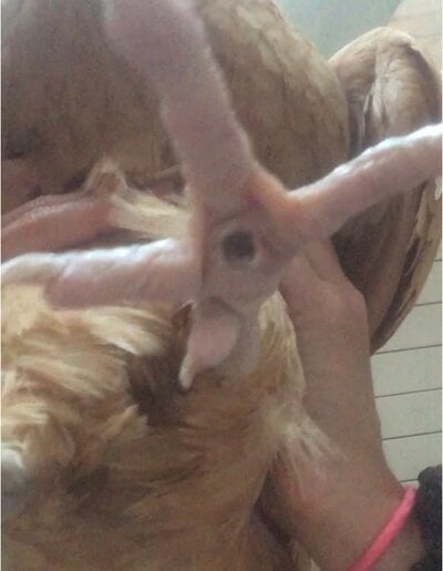 EBCD2303-93D1-4DBF-9FAB-23447030B221.jpeg