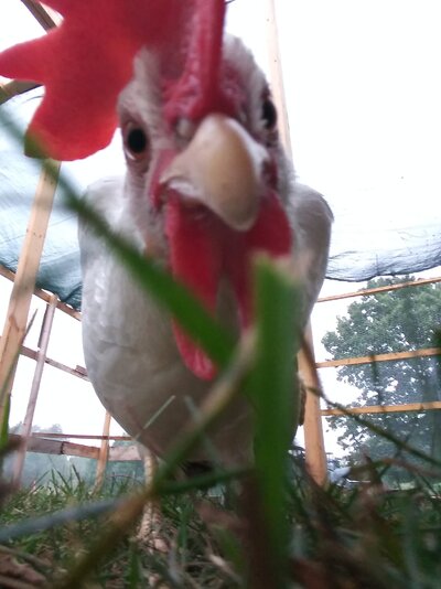 Phoebeselfieday3.jpg