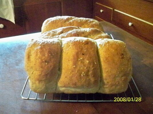 100_0380.JPG