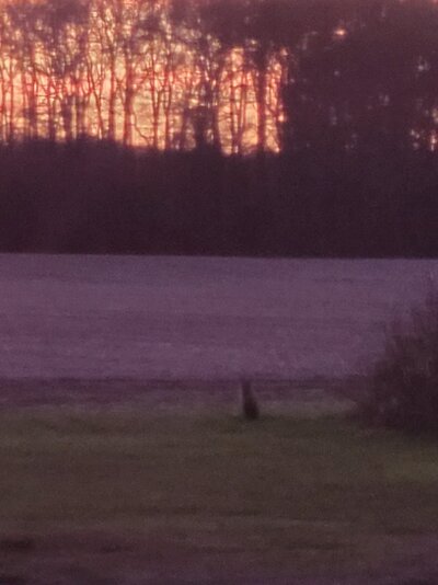 20201119_170107.jpg