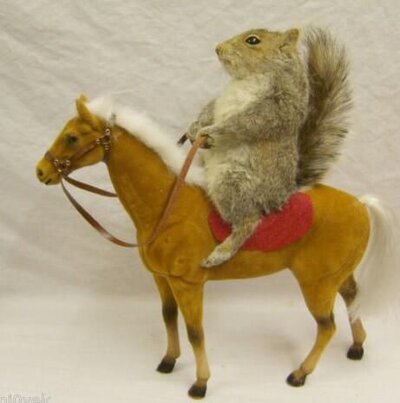 Squirel Pony.jpg