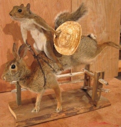 Squirel rodeo.jpg