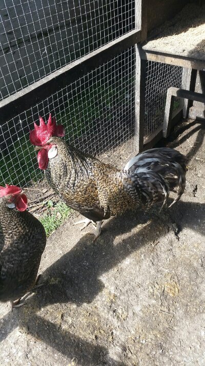 20210911_121221.jpeg