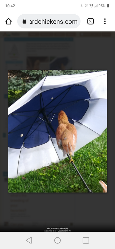 Screenshot_20210907-104203.png