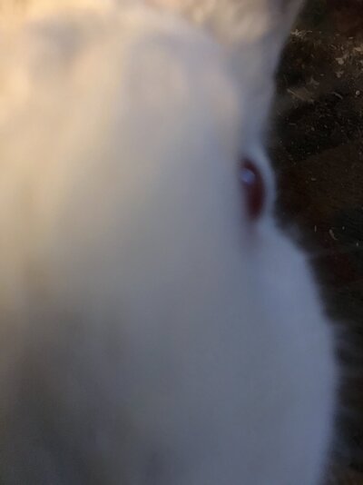 7CD22B35-64A8-4AF0-A761-742B924C66CF.jpeg