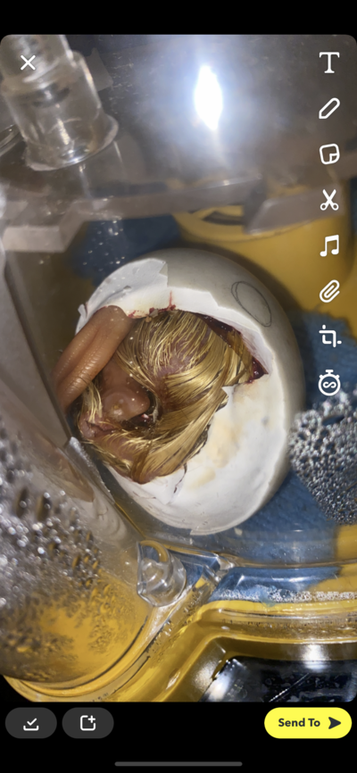 2D3F2204-0B1D-4DA4-BBF1-D1588544D15E.png