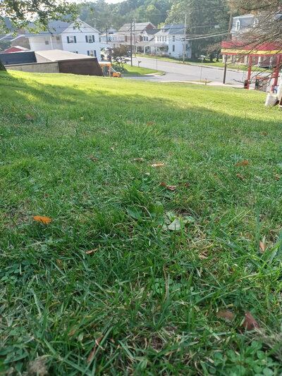 20210928_164842_HDR.jpg