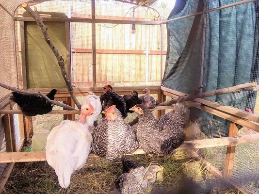 original_6a9e3fdd-abcc-41fa-926f-1e46d3fd6de0_20210929_084829_HDR.jpg