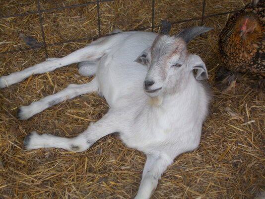 DSCN7767.JPG