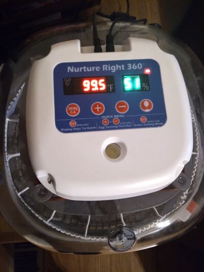 Resized_20201216_152812.jpeg