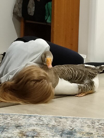 IMG20210805174222.jpg