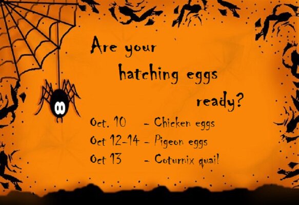 1934526, Edit 3 resize.jpg